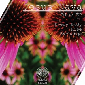 Rise - Single