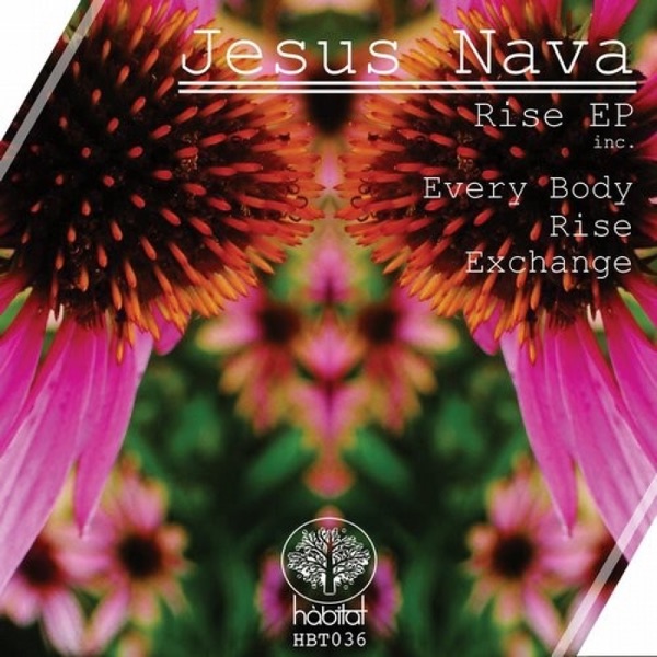 Rise - Single