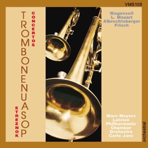 Concerto for Alto Trombone and Orchestra: II. Allegro moderato