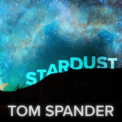 Stardust - Single