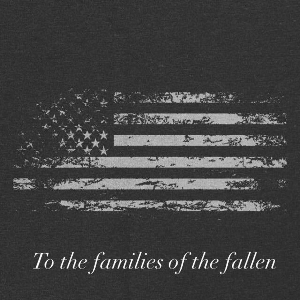 Обложка альбома «Dear America - Single» — Trav