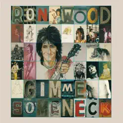 Gimme Some Neck - Ron Wood