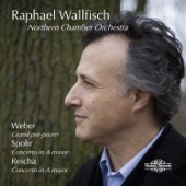 Weber, Spohr, Reicha & Danzi: Works for Cello and Orchestra artwork