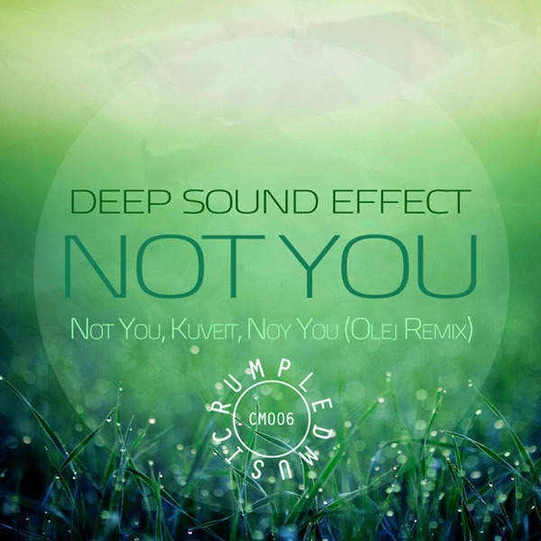 Not You - Single