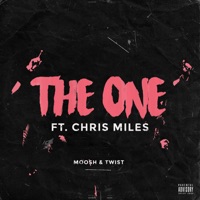 The One (feat. Chris Miles) - Single - Moosh & Twist