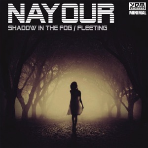 Shadow in the Fog / Fleeting - Single