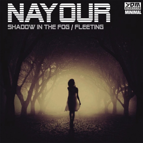 Shadow in the Fog / Fleeting - Single