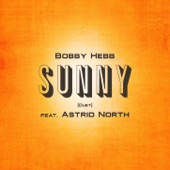 Sunny (Radio Edit) [with Astrid North] artwork