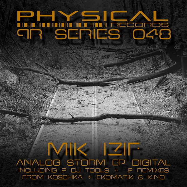 Analog Storm EP Digital