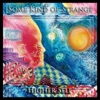 Some Kind of Strange - Woman (Live)