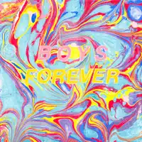 Voice in My Head — Boys Forever