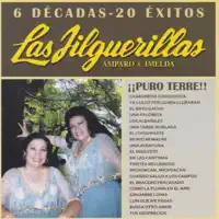una tarde nublada