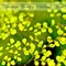 Massage Therapy Music - The Grace Of Nature