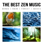 The Best Zen Music: Birds, Rain, Forest, Waves - Music to Help You Relax & Meditate, Sounds of Nature for Yoga, Sleep, Your Mind and Your Soul artwork