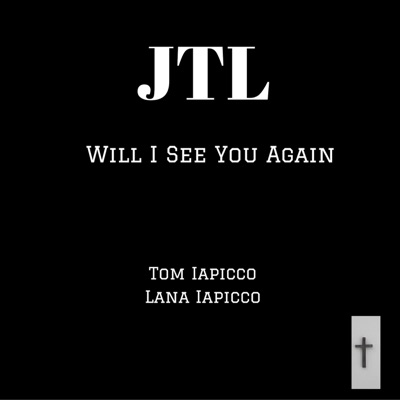 Will I See You Again - Single