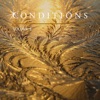 Conditions, Vol. 6, 2016