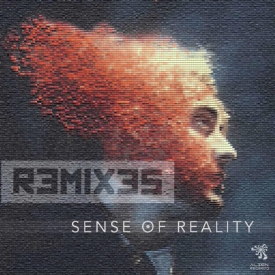 Sense of Reality Remixes - Single