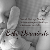 Bebe Dormindo - Sons da Natureza New Age Instrumentais para Meditação e Adormecer seu Bebé, Musicas Relaxantes Calmas para Dormir Bem - Canção de Ninar Bebê