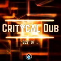 Best of ... Critycal Dub - Critycal Dub