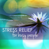 Stress Reduction for Busy People - Stress Relieving Natural Sounds to Listen While Working - Daily Stress Release Class