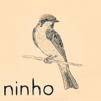 Album cover for Ninho by Silvia Sant'Anna