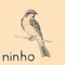 Ninho artwork