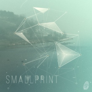 SmallPrint Collective 001 - Single