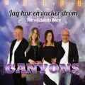 Jag Släpper Inte Taget