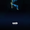 Night Thoughts - Suede