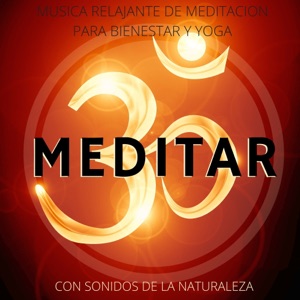Meditar - Música Relajante de Meditación para Bienestar y Yoga con Sonidos de la Naturaleza para Descansar