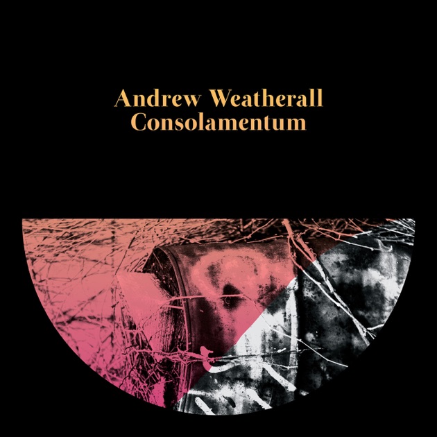 Andrew Weatherall Essentials - Playlist - Apple Music