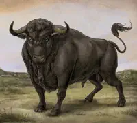 Renaissance !