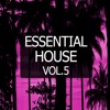 Essential House, Vol. 5