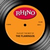 Playlist: The Best of the Flamingos