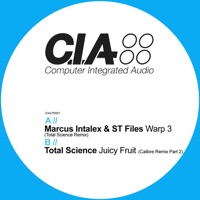 Warp 3 (Total Science Remix) / Juicy Fruit (Calibre Remix Part 2) - Single - Marcus Intalex, Total Science & S.T. Files