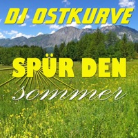 Spür den Sommer (Remixes) - DJ Ostkurve