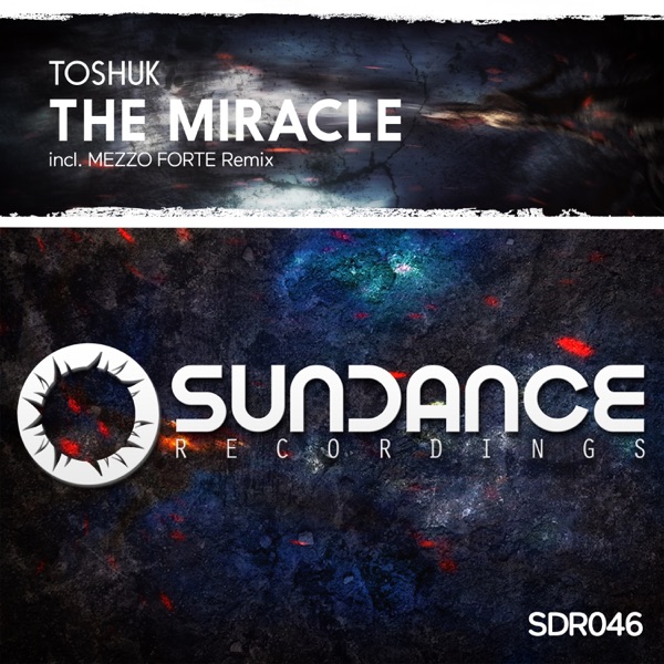 The Miracle - Single