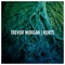The Bridge You Burned (feat. Dave Barnes) - Trevor Morgan lyrics