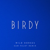Wild Horses (Sam Feldt Remix) artwork