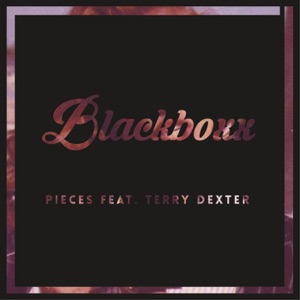 Pieces (feat. Terry Dexter) - Single