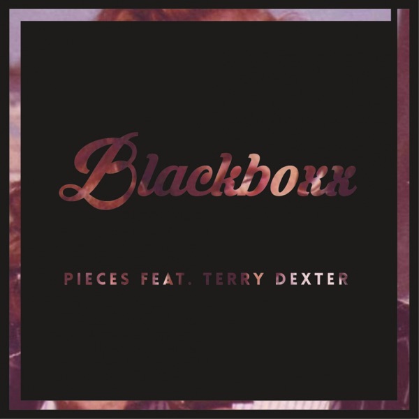 Pieces (feat. Terry Dexter) - Single