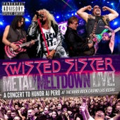 Metal Meltdown (Live) artwork