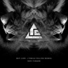 Hey Lion (Tom & Collins Remix) - Single