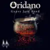 Oridano Gypsy Jazz Band - Douce Ambiance