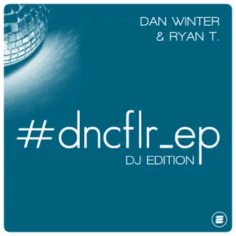 Castles in the Sky (Dan Winter & Ryan T. Remix) by Damae song reviws