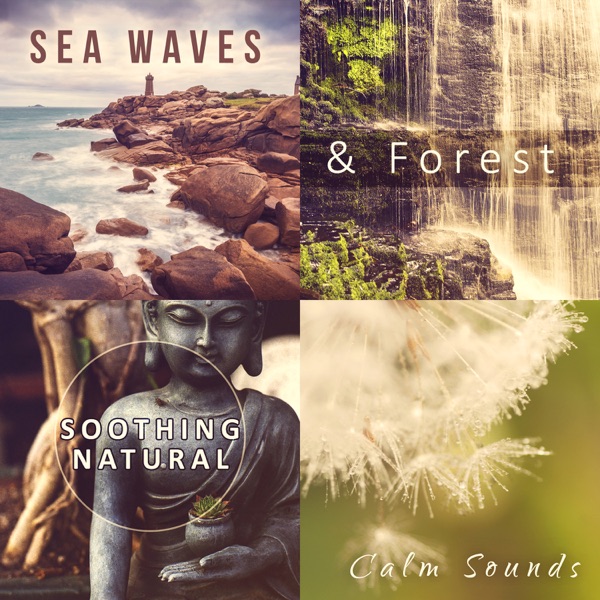 Sea Waves & Forest: Soothing Natural Calm Sounds – Meditation Music, Spiritual Healing, Zen, Distress, Delta Waves, Trouble Sleeping, Dreaming, Relaxing Rain Sounds