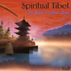 Spiritual Tibet - Om Mani Padme Hum - Niall