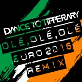 Olé, Olé, Olé (Euro 2016 Remix) artwork