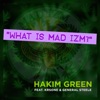 What Is Mad Izm? (feat. KRS-One & General Steele) - Single