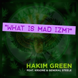 What Is Mad Izm? (feat. KRS-One & General Steele) Hakim Green